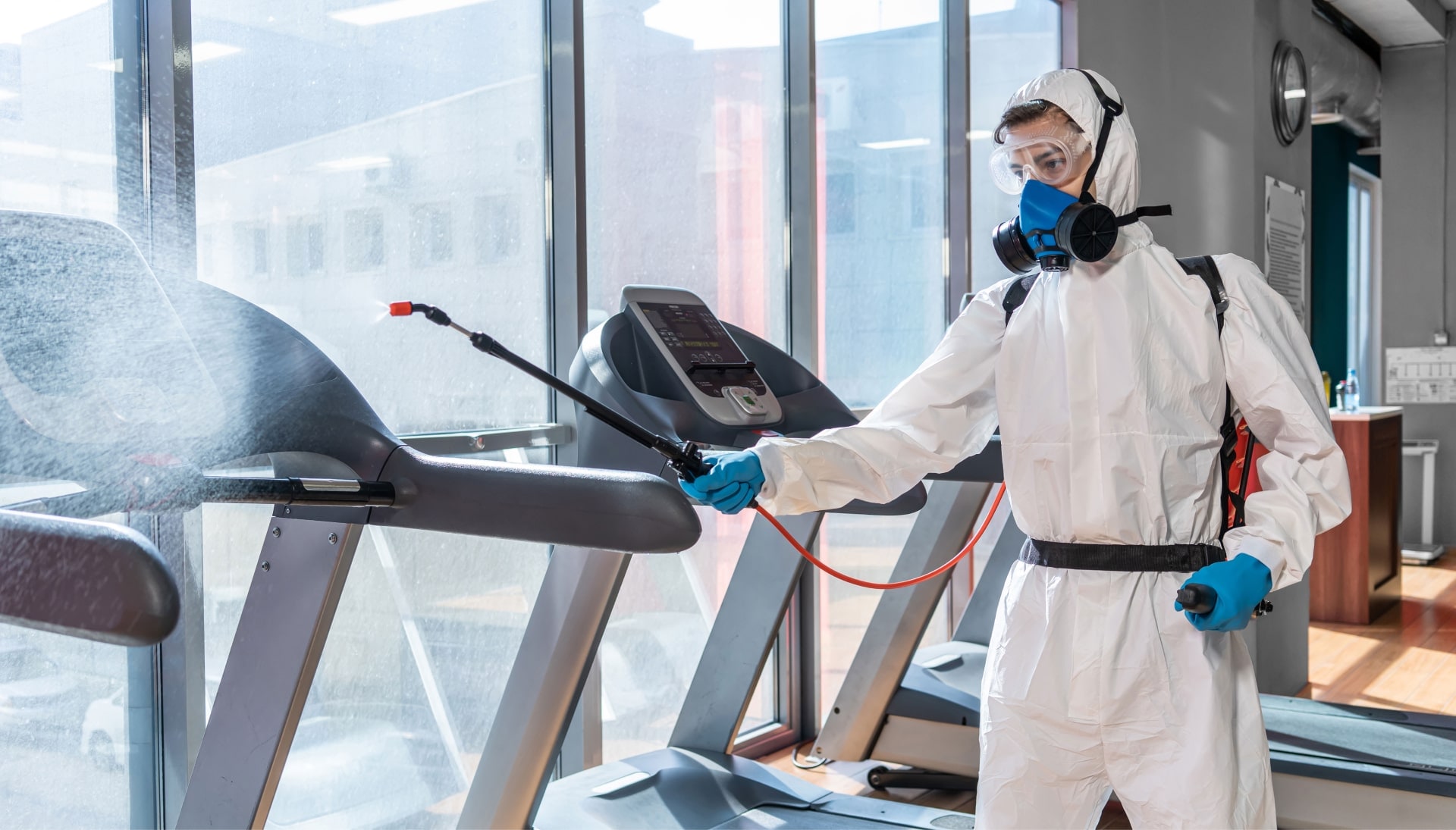 Commercial Mold Removal Services in Greenwood
