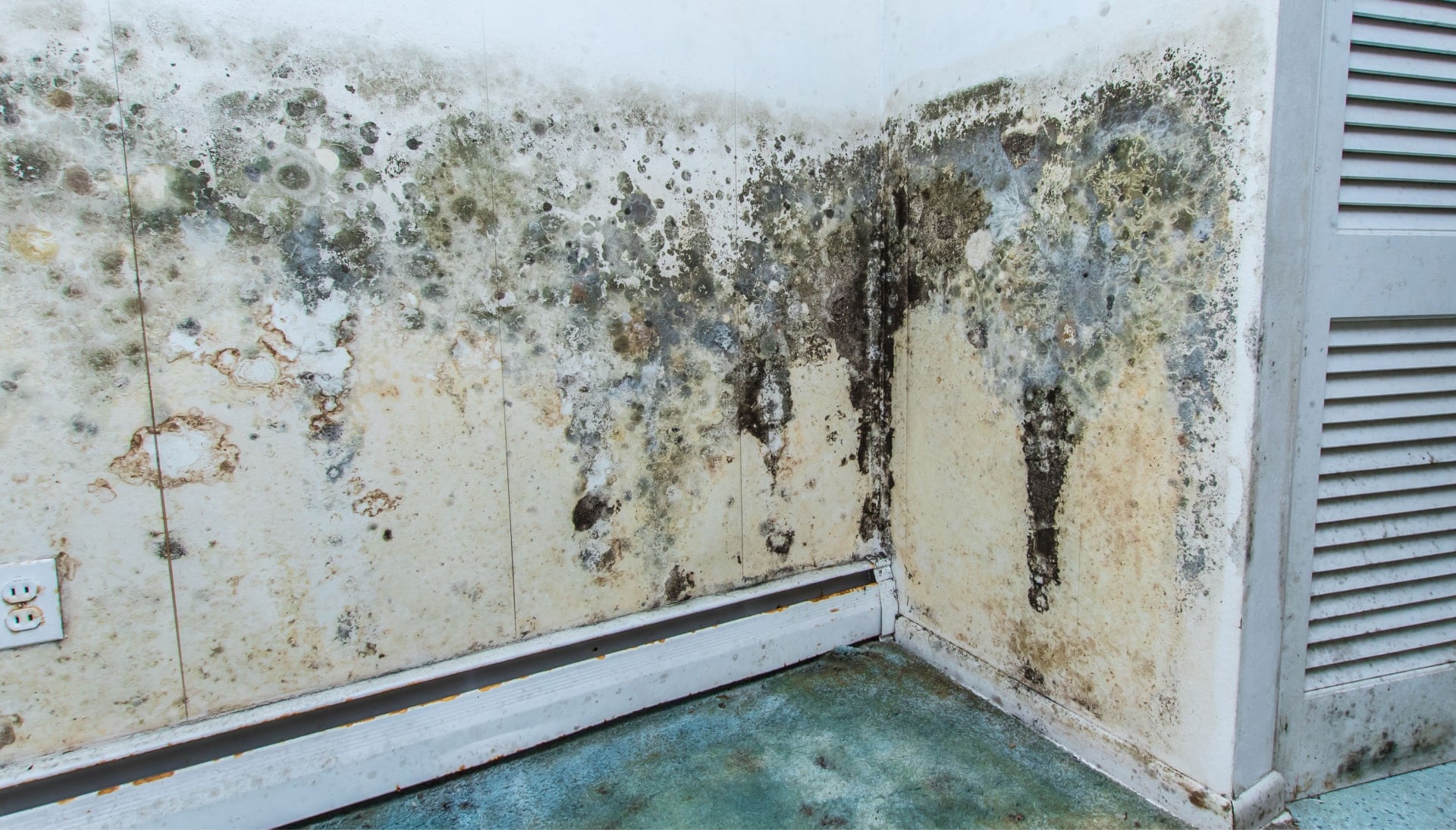 Mold Damage Odor Control Services in Greenwood