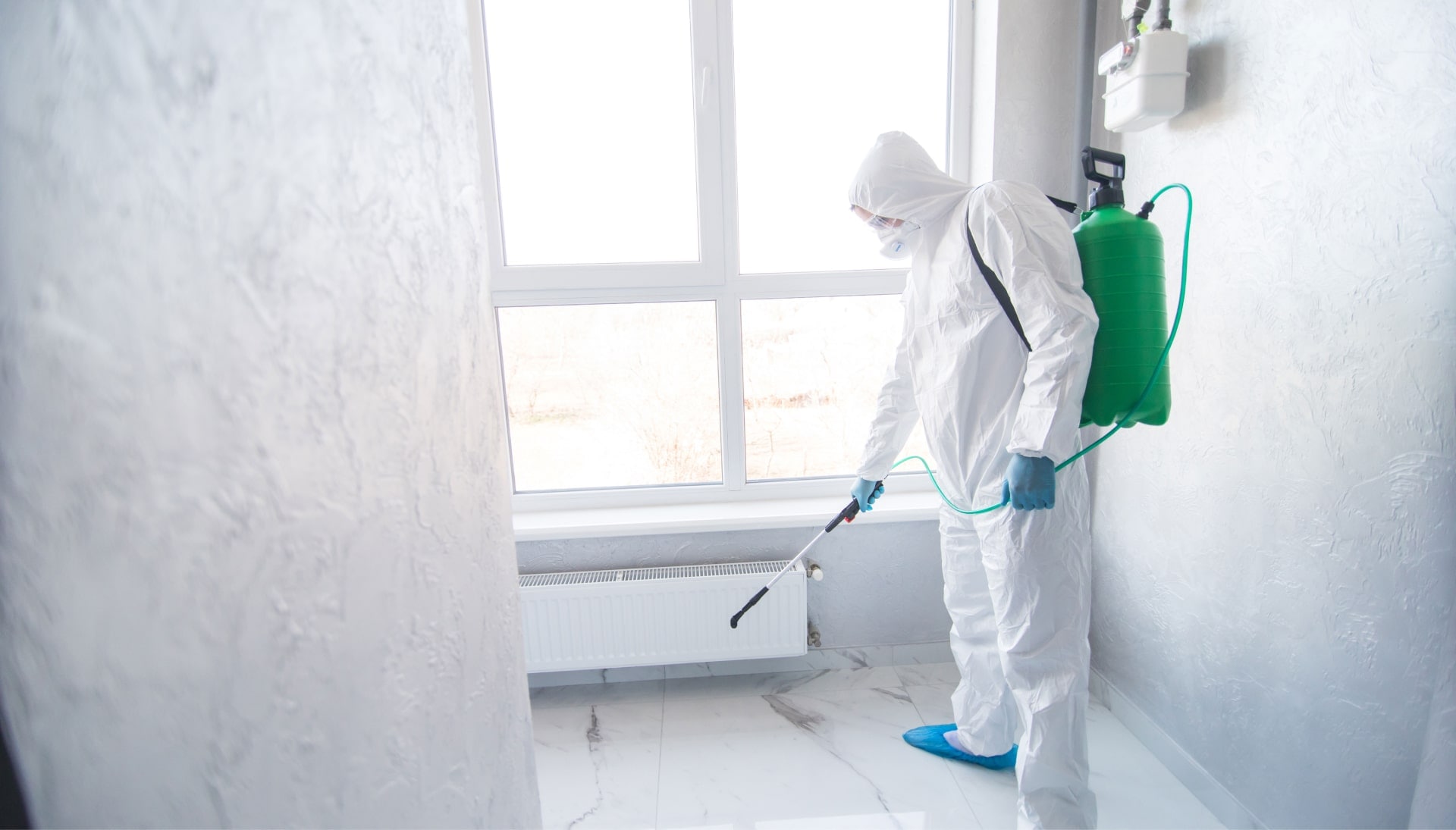Mold Inspection Services in Greenwood